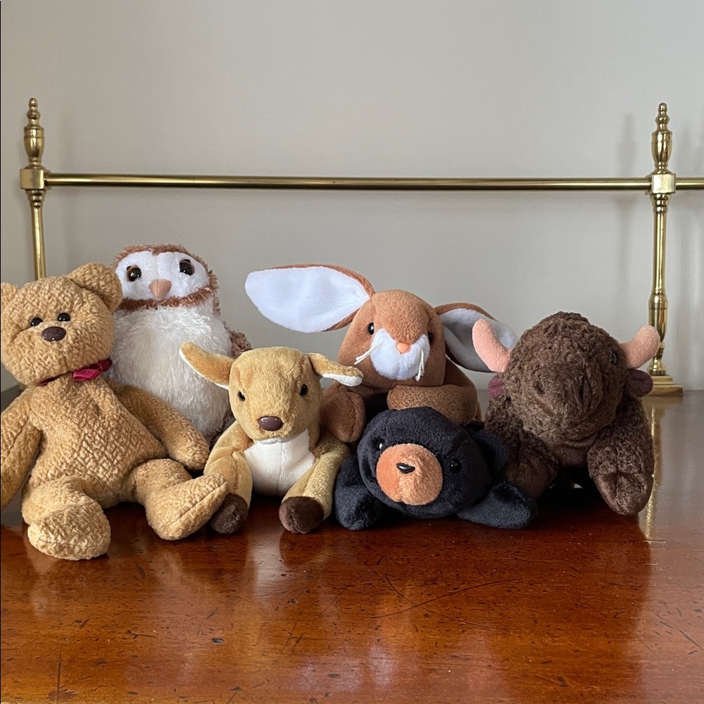 Beanie Babies of the American West Bundle - Owl, Buffalo, Bear, Rabbit, Deer